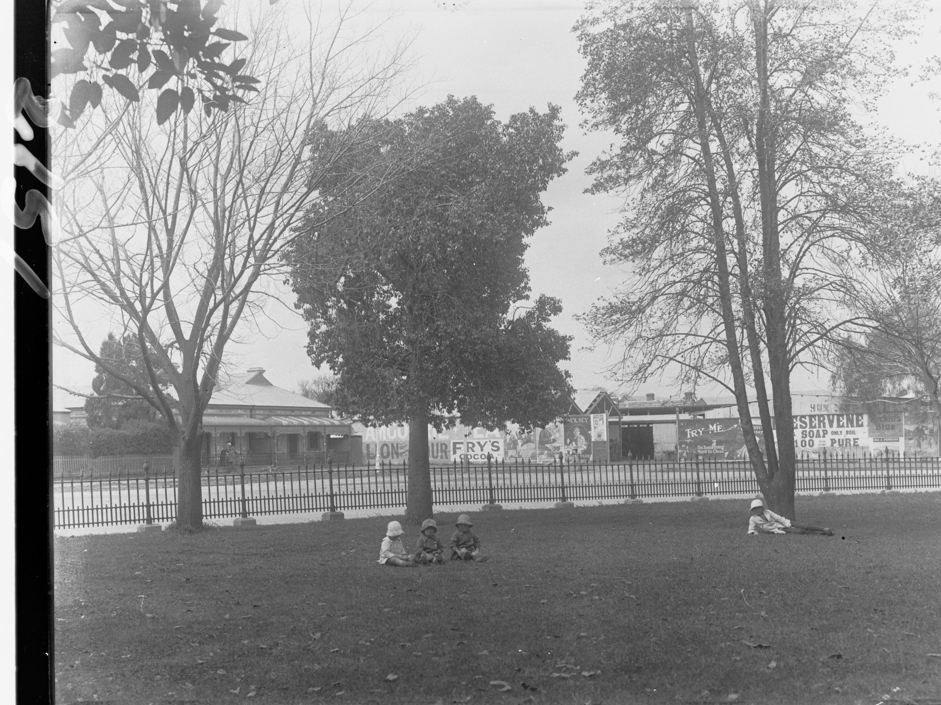 شخص يجلس تحت شجرة في المنام