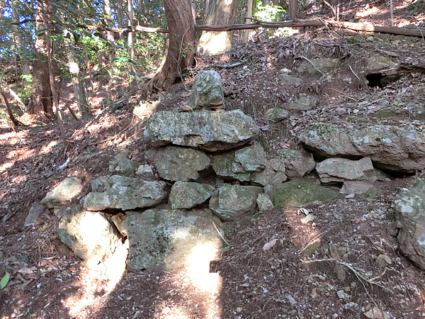 تفسير القلعة في المنام