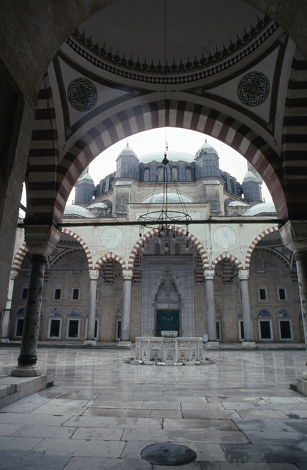 تفسير المطر على الحرم في المنام